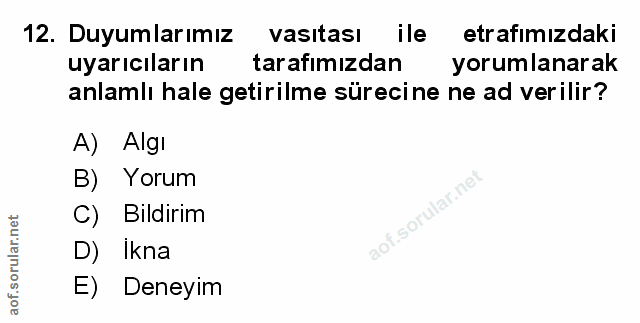 12. soru: Duyumlarımız vasıtası ile etrafımızdaki uyarıcıların tarafımızdan yorumlanarak anlamlı hale getirilme sürecine ne ad…