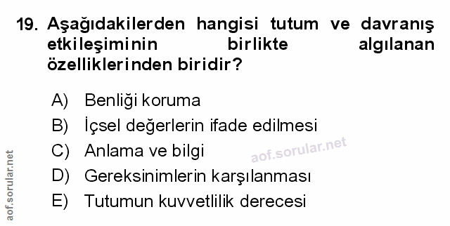 19. soru: Aşağıdakilerden hangisi tutum ve davranış etkileşiminin birlikte algılanan özelliklerinden biridir? A) Benliği koruma…