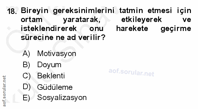 18. soru: Bireyin gereksinimlerini tatmin etmesi için ortam yaratarak, etkileyerek ve isteklendirerek onu harekete geçirme süre…