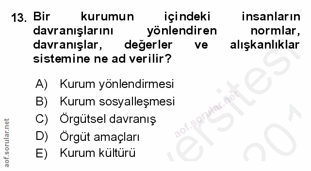 13. soru: Bir kurumun içindeki insanların davranışlarını yonlendiren normlar, davranışlar, degerler ve alışkanlıklar sistemine…