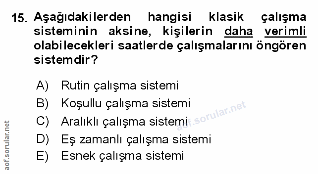 15. soru: Aşağıdakilerden hangisi klasik çalışma sisteminin aksine, kişilerin daha verimli olabilecekleri saatlerde çalışmaları…
