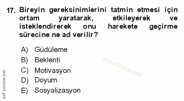 17. soru: Bireyin gereksinimlerini tatmin etmesi için ortam yaratarak, etkileyerek ve isteklendirerek onu harekete geçirme süre…