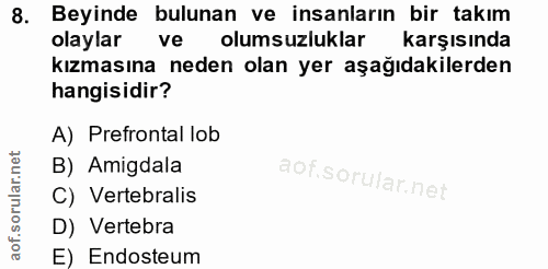 8. soru: Beyinde bulunan ve insanların bir takım olaylar ve olumsuzluklar karşısında kızmasına neden olan yer aşağıdakilerden…