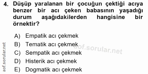 4. soru: Düşüp yaralanan bir çocuğun çektiği acıya benzer bir acı çeken babasının yaşadığı durum aşağıdakilerden hangisine bir…
