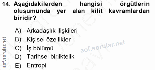 14. soru: Aşağıdakilerden hangisi örgütlerin oluşumunda yer alan kilit kavramlardan biridir? A) Arkadaşlık ilişkileri B) Kişise…