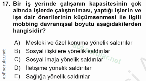 17. soru: Bir iş yerinde çalışanın kapasitesinin çok altında işlerde çalıştırılması, yaptığı işlerin ve işe dair önerilerinin k…