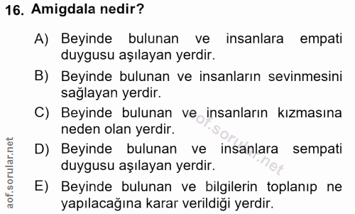 16. soru: Amigdala nedir? A) Beyinde bulunan ve insanlara empati duygusu aşılayan yerdir. B) Beyinde bulunan ve insanların sevi…