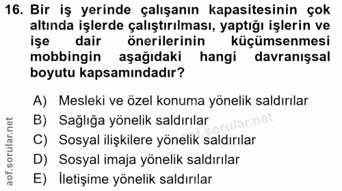 16. soru: Bir iş yerinde çalışanın kapasitesinin çok altında işlerde çalıştırılması, yaptığı işlerin ve işe dair önerilerinin k…