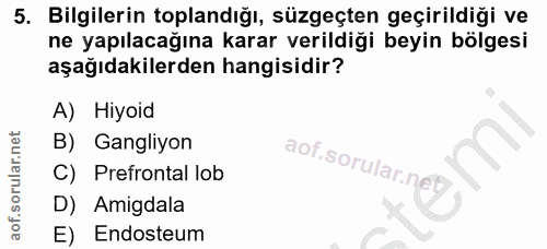 5. soru: Bilgilerin toplandığı, süzgeçten geçirildiği ve ne yapılacağına karar verildiği beyin bölgesi aşağıdakilerden hangisi…