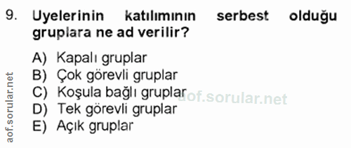 9. soru: Uyelerinin katılımının serbest olduğu gruplara ne ad verilir? A) Kapalı gruplar B) Çok görevli gruplar C) Koşula bağl…
