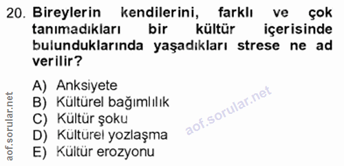 20. soru: Bireylerin • kendilerini, farklı/ ve çok tanimadıkları bir kültür içerisinde bulunduklarında yaşadıkları strese ne ad…