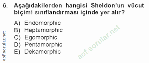 6. soru: Aşağıdakilerden hangisi Sheldon'un vücut biçimi sınıflandırması içinde yer alır? A) Endomorphic B) Heptamorphic C) Eg…