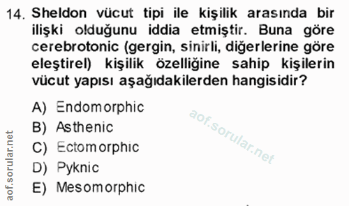 14. soru: Sheldon vücut tipi ile kişilik arasında bir ilişki olduğunu iddia etmiştir. Buna göre cerebrotonic (gergin, sinirli,…