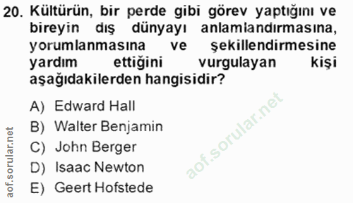 20. soru: Kültürün, bir perde gibi görev yaptığını ve bireyin dış dünyayı anlamandırmasına, yorumlanmasına ve şekillendirmesine…
