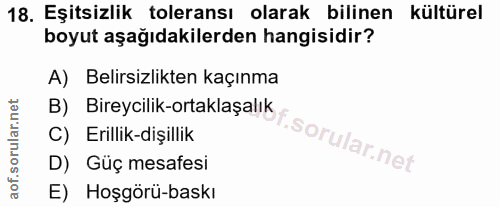 18. soru: Eşitsizlik toleransı olarak bilinen kültürel boyut aşağıdakilerden hangisidir? A) Belirsizlikten kaçınma B) Bireycili…