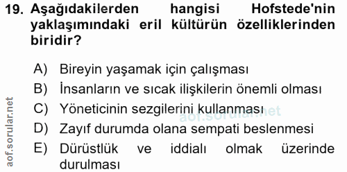 19. soru: Aşağıdakilerden hangisi Hofstede'nin yaklaşımındaki eril kültürün özelliklerinden biridir? A) Bireyin yaşamak için ça…