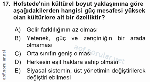 17. soru: Hofstede'nin kültürel boyut yaklaşımına göre aşağıdakilerden hangisi güç mesafesi yüksek olan kültürlere ait bir özel…