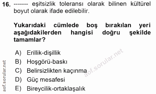 16. soru: ---- eşitsizlik toleransı olarak bilinen kültürel boyut olarak ifade edilebilir. Yukarıdaki cümlede boş bırakılan yer…