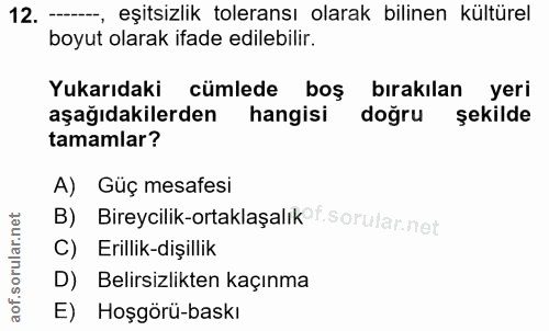 12. soru: —, eşitsizlik toleransı olarak bilinen kültürel boyut olarak ifade edilebilir. Yukarıdaki cümlede boş bırakılan yeri…