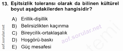 13. soru: Eşitsizlik toleransı olarak da bilinen kültürel boyut aşağıdakilerden hangisidir? A) Erillik-dişillik B) Belirsizlikt…