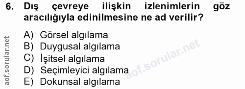 6. soru: Dış çevreye ilişkin izlenimlerin göz aracılığıyla edinilmesine ne ad verilir? A) Görsel algılama B) Duygusal algılama…