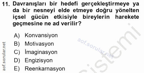 11. soru: Davranışları bir hedefi gerçekleştirmeye ya da bir nesneyi elde etmeye doğru yönelten içsel gücün etkisiyle bireyleri…