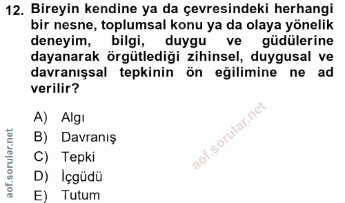 12. soru: Bireyin kendine ya da çevresindeki herhangi bir nesne, toplumsal konu ya da olaya yönelik deneyim, bilgi, duygu ve gü…