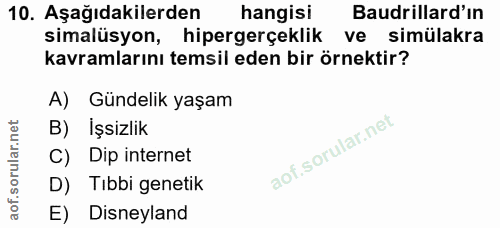 10. soru: Aşağıdakilerden hangisi Baudrillard'ın simalüsyon, hipergerçeklik ve simülakra kavramlarını temsil eden bir örnektir?…