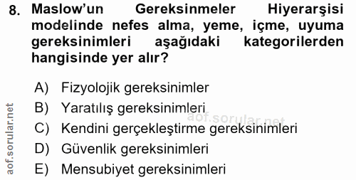 8. soru: Maslow'un Gereksinmeler Hiyerarşisi modelinde nefes alma, yeme, içme, uyuma gereksinimleri aşağıdaki kategorilerden h…