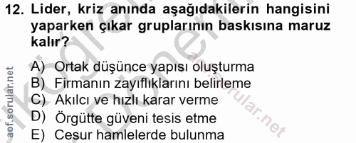12. soru: Lider, kriz anında aşağıdakilerin hangisini yaparken çıkar gruplarının baskısına maruz kalır? A) Ortak düşünce yapısı…