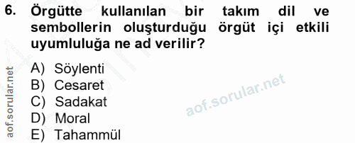 6. soru: Örgütte kullanılan bir takım dil ve sembollerin oluşturduğu örgüt içi etkili uyumluluğa ne ad verilir? A) Söylenti B)…