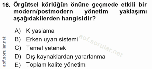 16. soru: Örgütsel körlüğün önüne geçmede etkili bir modern/postmodern| yönetim yaklaşımı aşağıdakilerden hangisidir? B) Erken…