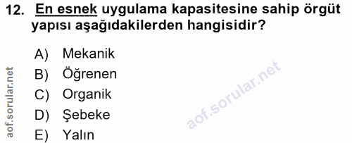 12. soru: En esnek uygulama kapasitesine sahip örgüt yapısı aşağıdakilerden hangisidir? A) Mekanik B) Öğrenen C) Organik D) Şeb…