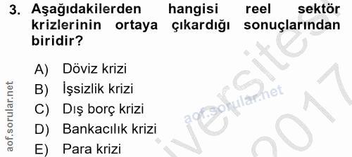 3. soru: Aşağıdakilerden hangisi reel sektör krizlerinin ortaya çıkardığı sonuçlarından biridir? A) Döviz krizi B) Işsizlik kr…
