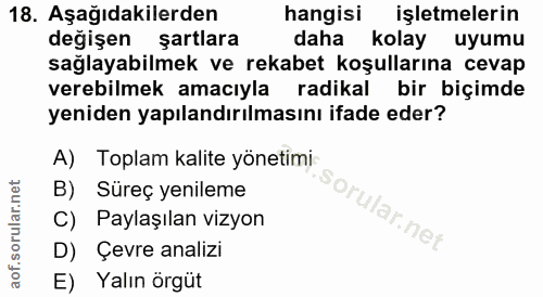 18. soru: Aşağıdakilerden hangisi işletmelerin değişen şartlara daha kolay uyumu sağlayabilmek ve rekabet koşullarına cevap ver…
