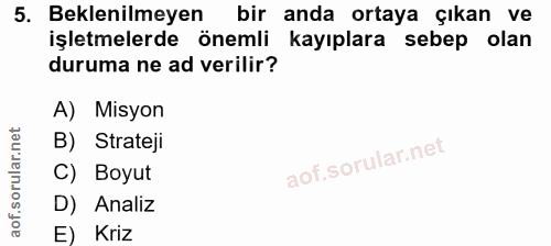 5. soru: Beklenilmeyen bir anda ortaya çıkan ve işletmelerde önemli kayıplara sebep olan duruma ne ad verilir? A) Misyon B) St…