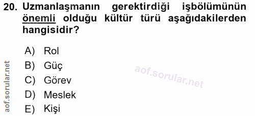 20. soru: Uzmanlaşmanın gerektirdiği işbölümünün önemli olduğu kültür türü aşağıdakilerden hangisidir? A) Rol B) Güç C) Görev D…