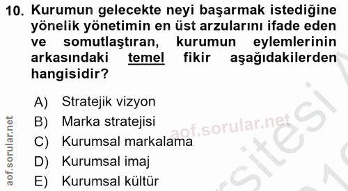 10. soru: Kurumun gelecekte neyi başarmak istediğine yönelik yönetimin en üst arzularını ifade eden ve somutlaştıran, kurumun e…
