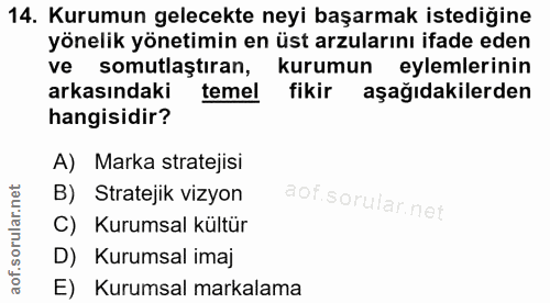 14. soru: Kurumun gelecekte neyi başarmak istediğine yönelik yönetimin en üst arzularını ifade eden ve somutlaştıran, kurumun e…