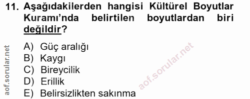 11. soru: Aşağıdakilerden hangisi Kültürel Boyutlar Kuramı'nda belirtilen boyutlardan biri değildir? A) Güç aralığı B) Kaygı C)…