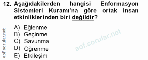 12. soru: Aşağıdakilerden hangisi Enformasyon Sistemleri Kurami'na göre ortak insan etkinliklerinden biri değildir? A) Eğlenme…