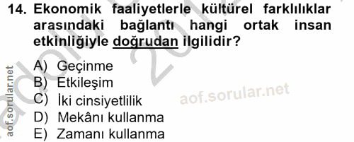 14. soru: Ekonomik faaliyetlerle kültürel farklılıklar arasındaki bağlantı hangi ortak insan etkinliğiyle doğrudan ilgilidir? A…
