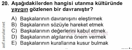 20. soru: Aşağıdakilerden hangisi utanma kültüründe yaygın gözlenen bir davranıştır? A) Başkalarının davranışını eleştirmek B)…