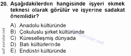 20. soru: Aşağıdakilerden hangisinde işyeri ekmek teknesi olarak görülür ve işyerine sadakat önemlidir? A) Anadolu kültüründe B…