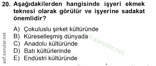 20. soru: Aşağıdakilerden hangisinde işyeri ekmek teknesi olarak görülür ve işyerine sadakat önemlidir? A) Çokuluslu şirket kül…