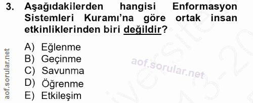 3. soru: Aşağıdakilerden hangisi Enformasyon Sistemleri Kuramı'na göre ortak insan etkinliklerinden biri değildir? A) Eğlenme…