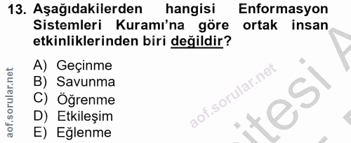 13. soru: Aşağıdakilerden hangisi Enformasyon Sistemleri Kuramı'na göre ortak insan etkinliklerinden biri değildir? A) Geçinme…