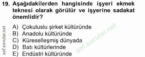 19. soru: Aşağıdakilerden hangisinde işyeri ekmek teknesi olarak görülür ve işyerine sadakat önemlidir? A) Çokuluslu şirket kül…