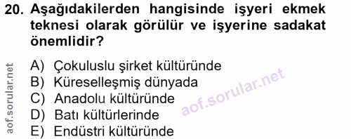 20. soru: Aşağıdakilerden hangisinde işyeri ekmek teknesi olarak görülür ve işyerine sadakat önemlidir? A) Çokuluslu şirket kül…