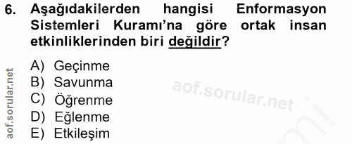 6. soru: Aşağıdakilerden hangisi Enformasyon Sistemleri Kuramı'na göre ortak insan etkinliklerinden biri değildir? A) Geçinme…